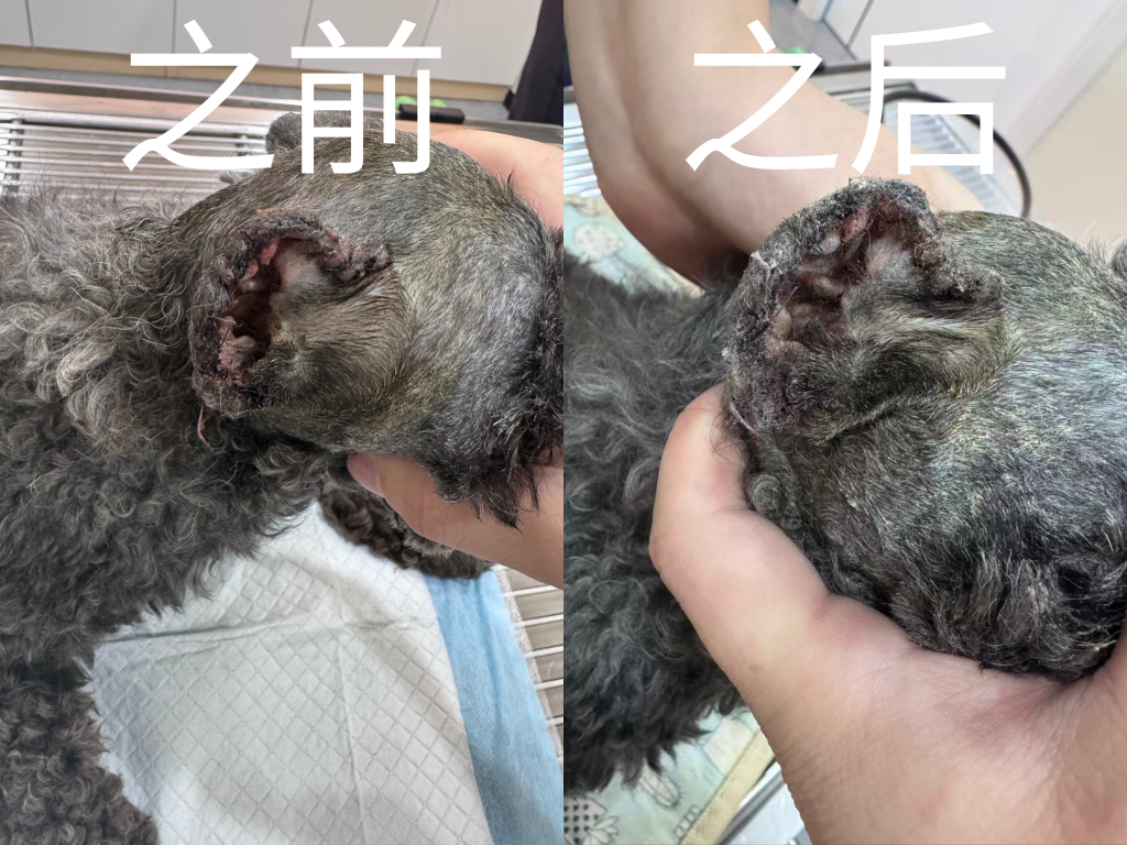 2 个前后