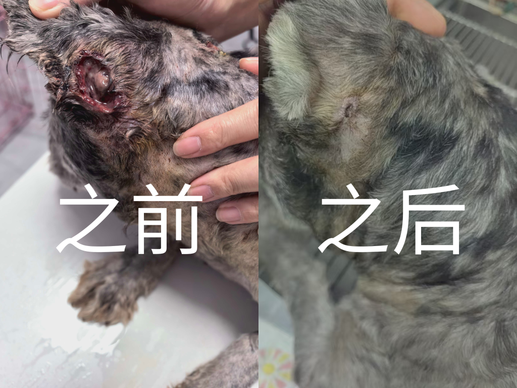 3 之前和之后