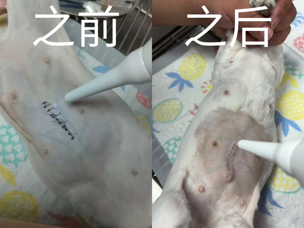4 个前后