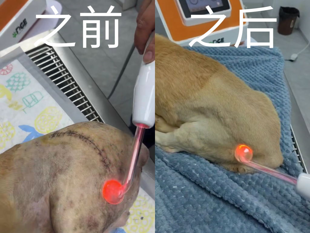 6 个前后( A)
